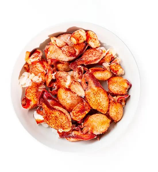 Claws & Knuckles image